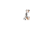 Dog Easily Distracted By Aussie