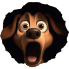 Terrified Dog