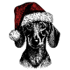 Xmas Doxie
