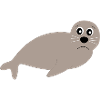 Seals, seals, seals, seals animals