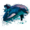 dolphin, sea creature, mammal, dolphins