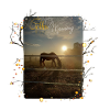 goldenmorning
