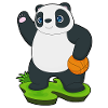 Panda Basketball Player Basketball