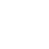 Journalist, Journalist