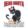 Dear santa i can explain