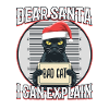 Dear santa i can explain