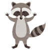 Waschbär