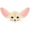 Wüstenfuchs
