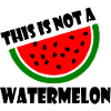 THIS IS NOT A WATERMELON