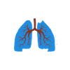 Inhalothérapeute Thérapie respiratoire