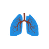 Inhalothérapeute Poumon