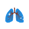 Inhalothérapeute Respiration pulmonaire