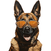 Malinois Cool - Malinois Dog