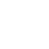 Original berlinois