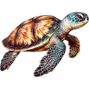 Elegant Cute Sea Turtle