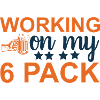 6er pack