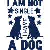 i am not single