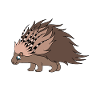 Cute Porcupine Funny