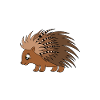Mignon Porc-épic Drôle