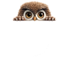 Owl Owls