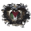 Free Palestina Heart