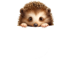 Hedgehog