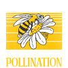 Bee Gifts