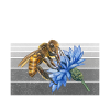 Bee Gifts