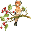 Bunter Vogel