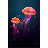 Jellyfish Jellyfish Animal