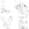 Rugby Love