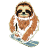 Snowboard Sloth : Descente fraîche