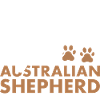 Dog Loved By An Aussie