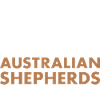 Dog Coffee And Aussie