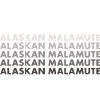 Alaskan Malamute