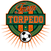 Fussball Logo