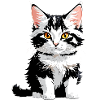 Cute kitten