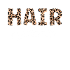Coiffeur Salon de coiffure Cosmétologie