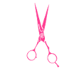 Coiffeur Salon de coiffure Cosmétologie