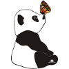 Panda butterfly