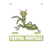 Praying mantis lover, insect enthusiast,