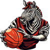 Basketball Zebra