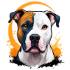 American Staffordshire