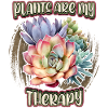 Succulents, botanical illustration, saying