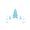 de Noël activé