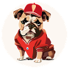 Baseball Bulldogge mit Cap