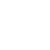 Winter cat