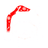 Christmas cat