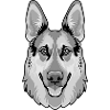 Schäferhund
