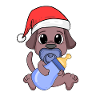 Dog Baby Christmas